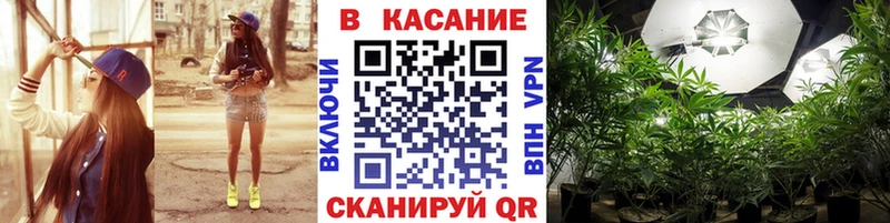 Как найти наркотики Петухово ГАШИШ  COCAIN  APVP  Вейп ТГК  Меф мяу мяу 