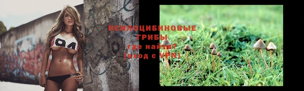 дурь Покров